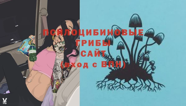 твердый Баксан