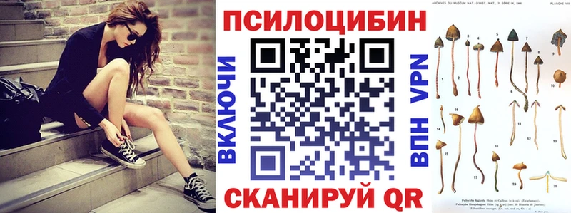 где можно купить   Беломорск  нарко площадка какой сайт  Псилоцибиновые грибы мицелий 